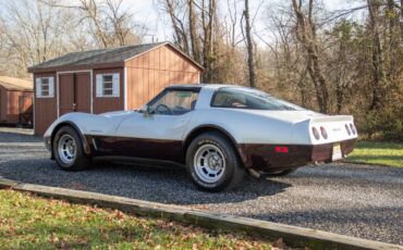 Chevrolet-Corvette-coupe-1982-silver-28968-4