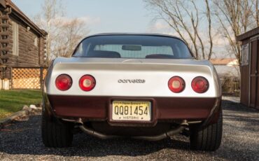 Chevrolet-Corvette-coupe-1982-silver-28968-5