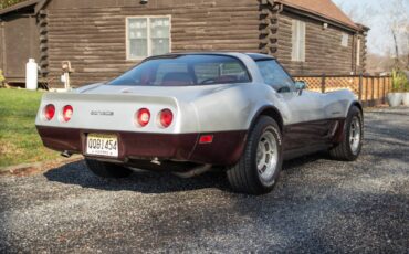 Chevrolet-Corvette-coupe-1982-silver-28968-6