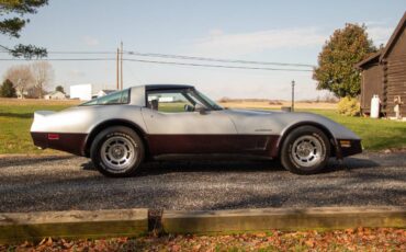 Chevrolet-Corvette-coupe-1982-silver-28968-7