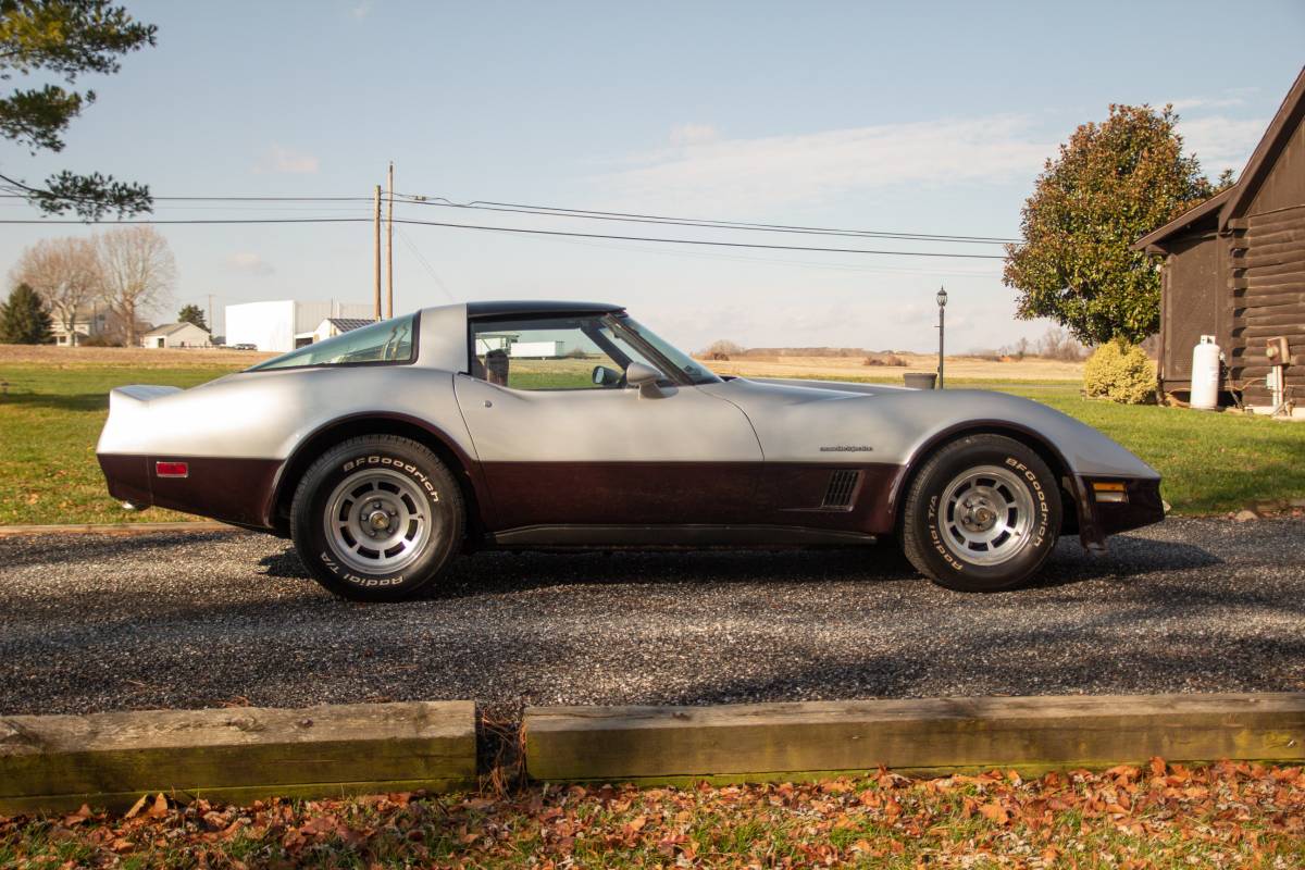 Chevrolet-Corvette-coupe-1982-silver-28968-7