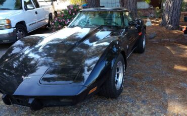 Chevrolet-Corvette-l82-1979-black-117482-1