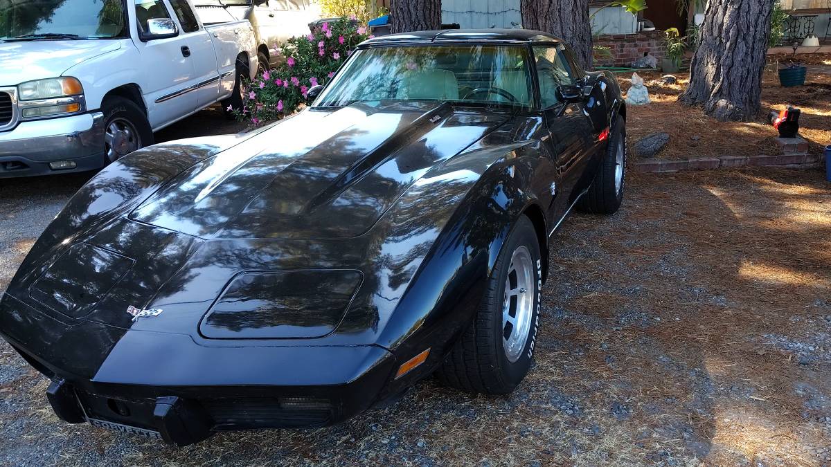 Chevrolet-Corvette-l82-1979-black-117482-1