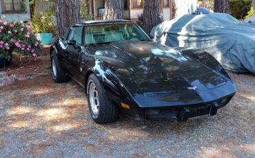 Chevrolet-Corvette-l82-1979-black-117482