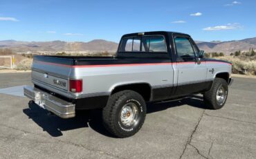 Chevrolet-K10-swb-4x4-1984-177027-11