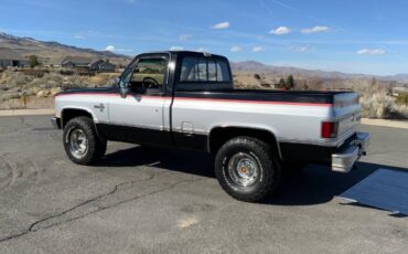 Chevrolet-K10-swb-4x4-1984-177027-4