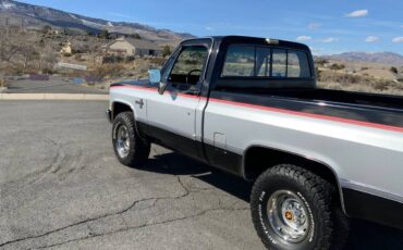 Chevrolet-K10-swb-4x4-1984-177027-6