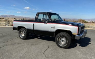 Chevrolet-K10-swb-4x4-1984-177027-8