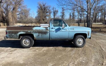 Chevrolet-K2500-1978-blue-64374-1