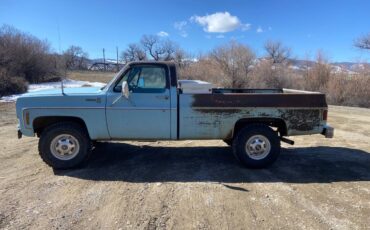 Chevrolet-K2500-1978-blue-64374-19