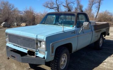 Chevrolet-K2500-1978-blue-64374-21