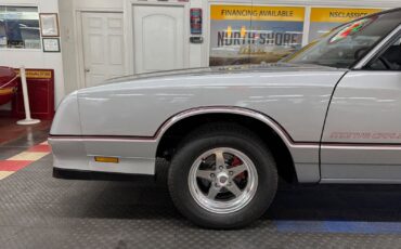 Chevrolet-Monte-Carlo-Coupe-1985-Silver-Gray-104607-16