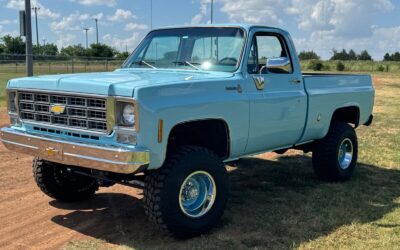 Chevrolet Other Pickups  1978 à vendre