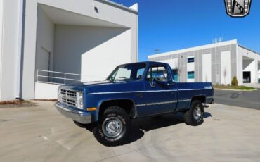 Chevrolet-Other-Pickups-1985-Blue-Blue-5367-2