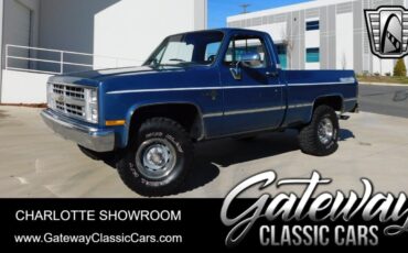 Chevrolet Other Pickups  1985