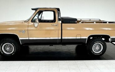 Chevrolet-Other-Pickups-Pickup-1986-Gold-Black-117458-1