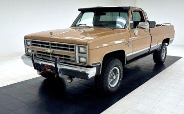 Chevrolet Other Pickups Pickup 1986