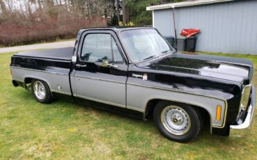 Chevrolet-S10-pickup-1978-black-198683-1