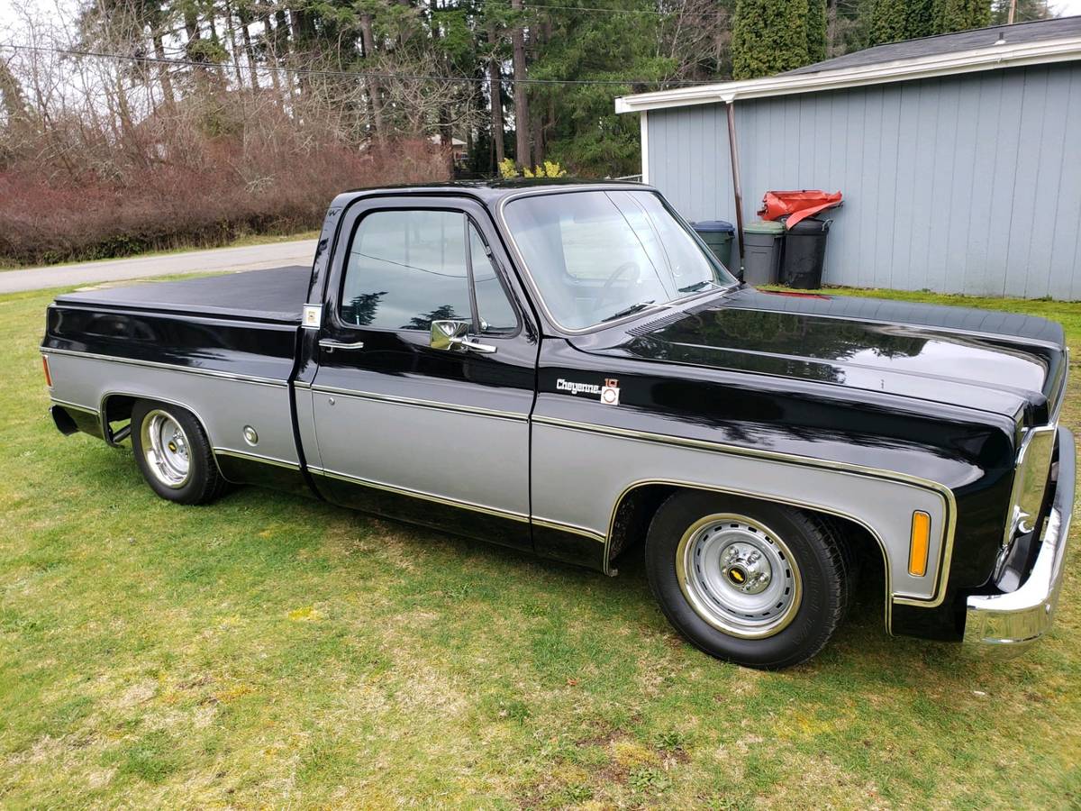 Chevrolet-S10-pickup-1978-black-198683-1