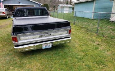 Chevrolet-S10-pickup-1978-black-198683-3