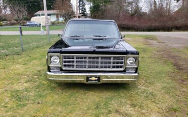 Chevrolet-S10-pickup-1978-black-198683-5