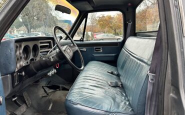 Chevrolet-Scottsdale-r20-conventional-34-ton-1987-grey-74419-10