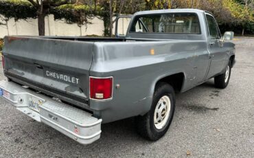 Chevrolet-Scottsdale-r20-conventional-34-ton-1987-grey-74419-21