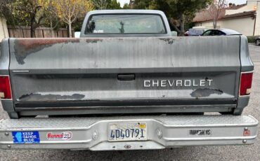 Chevrolet-Scottsdale-r20-conventional-34-ton-1987-grey-74419-4