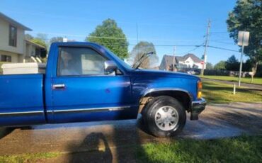 Chevrolet-Silverado-1500-1988-193121-3