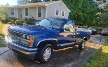 Chevrolet-Silverado-1500-1988-193121-6