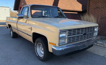 Chevrolet-Square-body-1983-153558-5