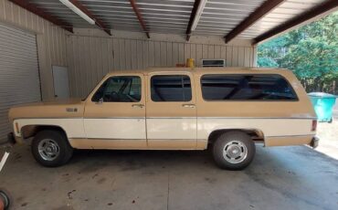 Chevrolet-Suburban-12-ton-lt-1976-58741