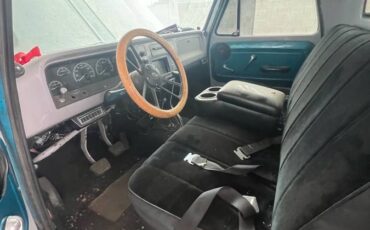 Chevrolet-Truck-1965-blue-16093-9