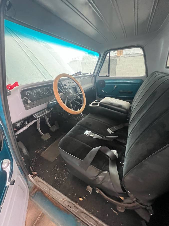 Chevrolet-Truck-1965-blue-16093-9