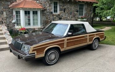 Chrysler-Lebaron-convertible-1983-brown-97853-1