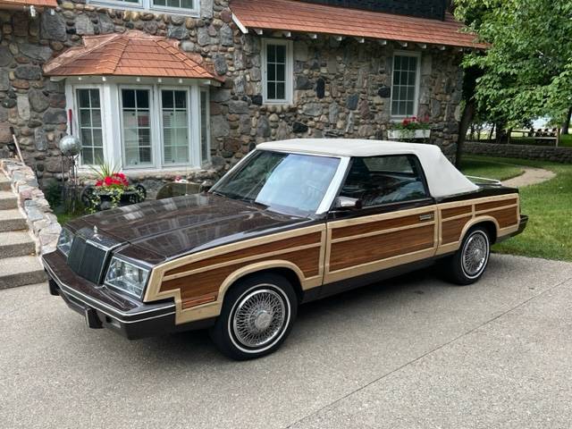 Chrysler-Lebaron-convertible-1983-brown-97853-1