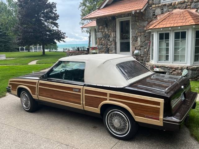 Chrysler-Lebaron-convertible-1983-brown-97853-2