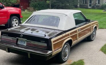 Chrysler-Lebaron-convertible-1983-brown-97853-3