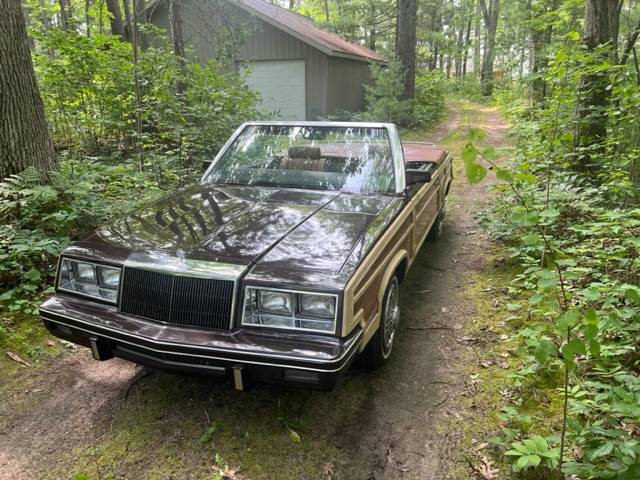 Chrysler-Lebaron-convertible-1983-brown-97853-5