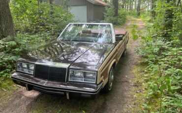 Chrysler-Lebaron-convertible-1983-brown-97853-5