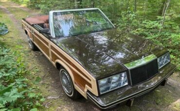 Chrysler-Lebaron-convertible-1983-brown-97853-6