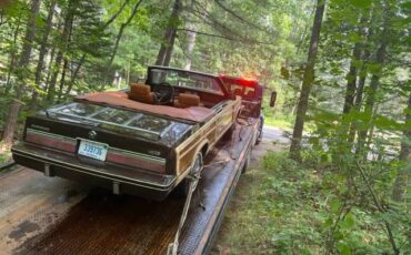 Chrysler-Lebaron-convertible-1983-brown-97853-7