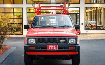 Datsun-D21-hardbody-1991-red-16573-7