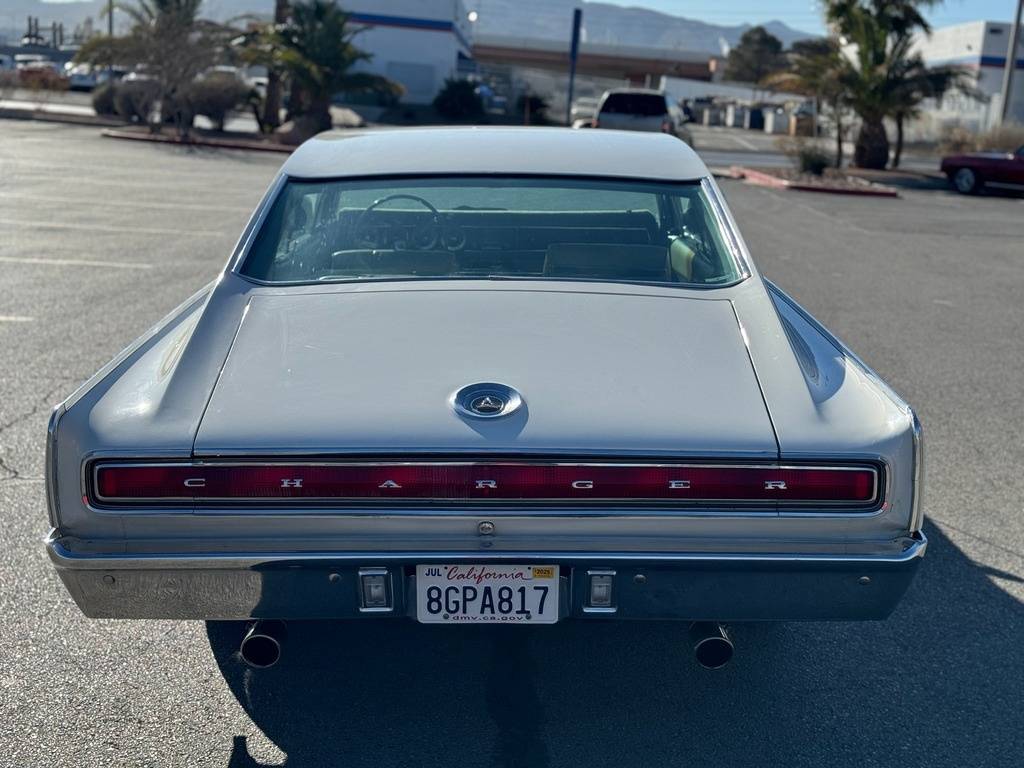 Dodge-Charger-1966-white-151593-8