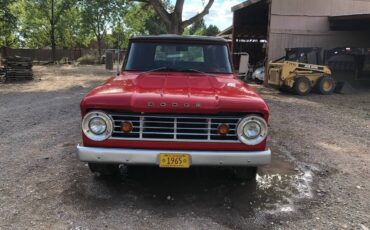 Dodge-D-100-1965-red-98170-1