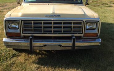 Dodge-D150-1985-custom-16093384-3