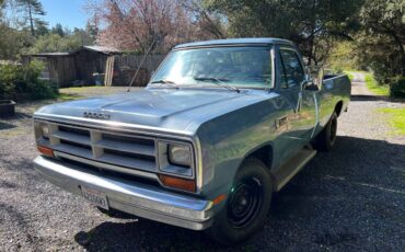 Dodge-D250-34-ton-1985-blue-74183-2