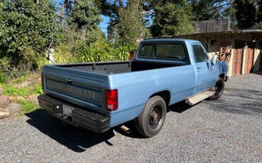 Dodge-D250-34-ton-1985-blue-74183-5