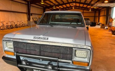 Dodge-D250-diesel-1989-silver-297728-1