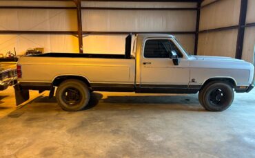 Dodge-D250-diesel-1989-silver-297728-4